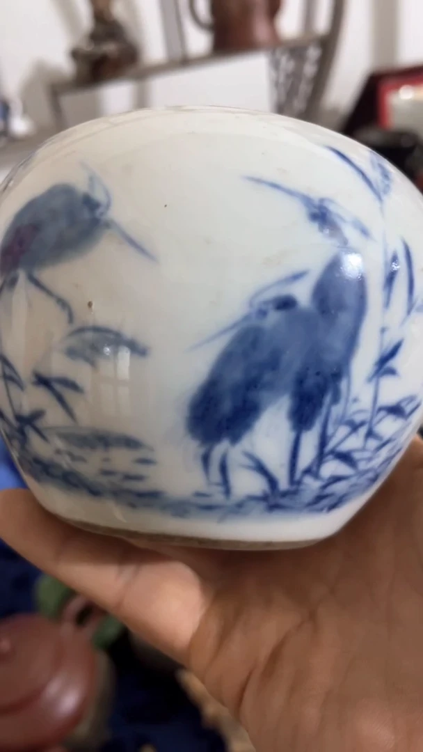 【闪购商品】786786786768746678