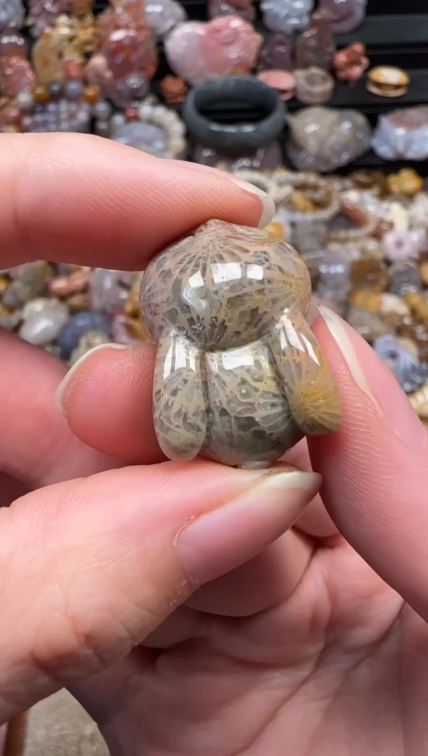 颈饰未镶嵌硅化珊瑚（珊瑚玉）294