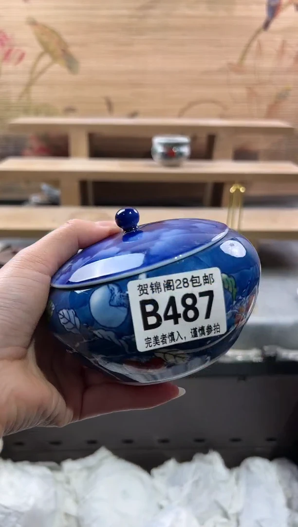 【闪购商品】瓷片当天满28米包邮B487