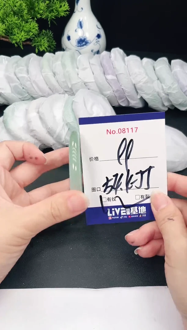 未镶嵌手镯翡翠8117