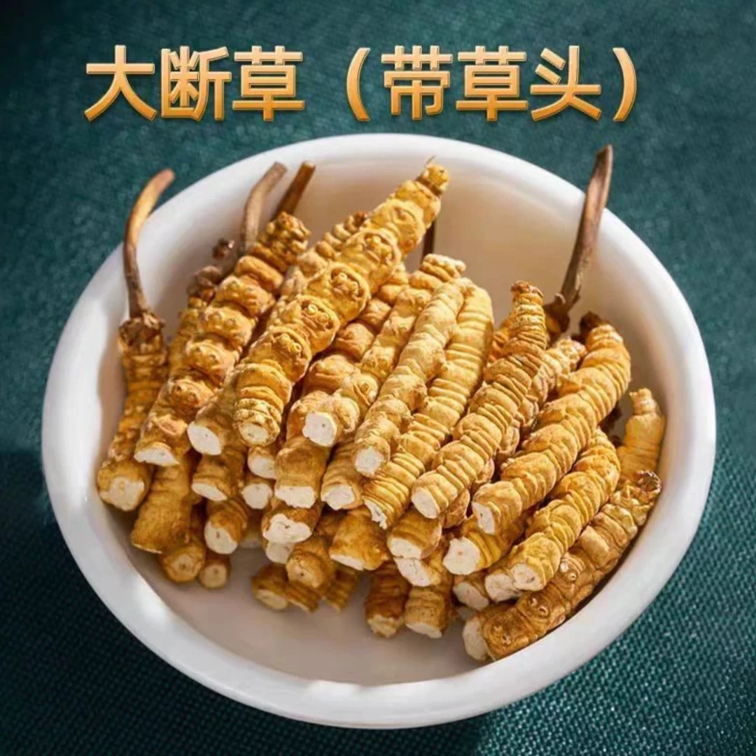 藏区高海拔正品推荐自用高海拔虫草头期干货冬虫草滋补泡酒好材料