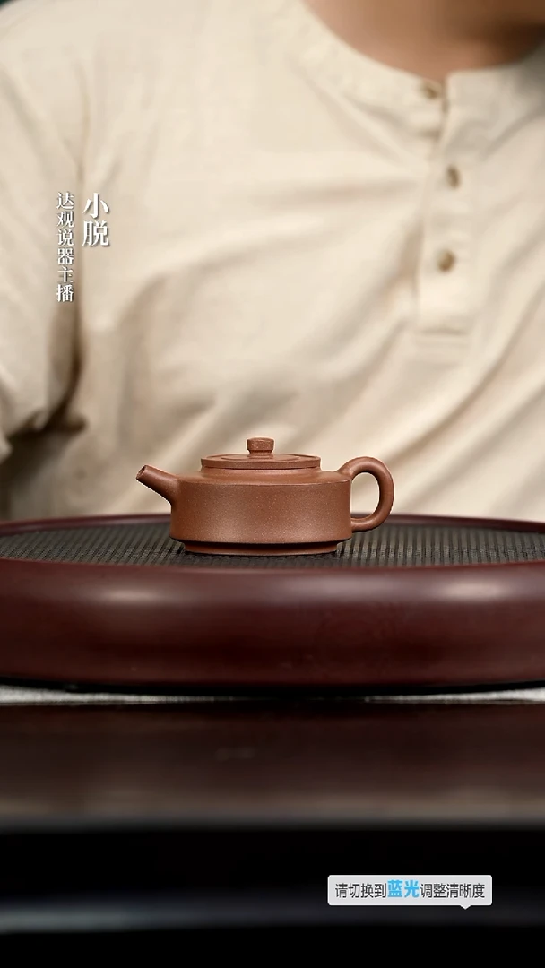 茶壶紫砂DG281阅壶录蔡立彬周盘降坡150