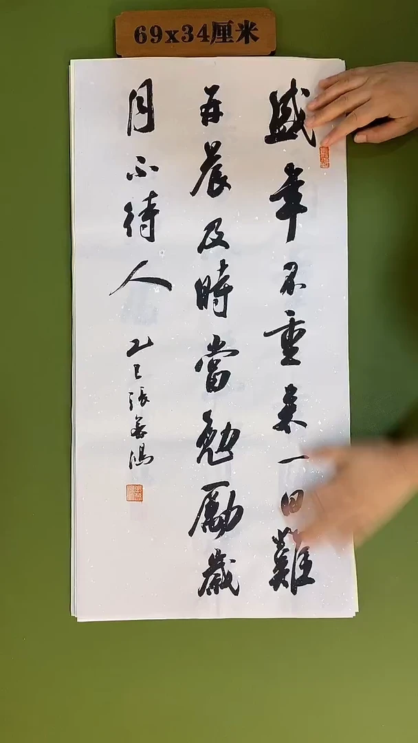书法书法 张若鸿 尺寸69cm*34cm