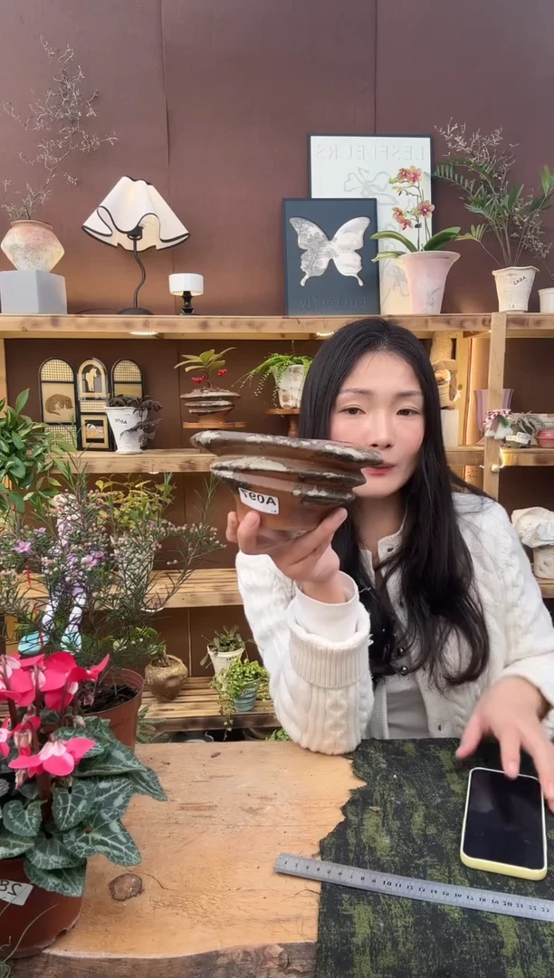 无花朵编号097   景德镇手工手绘花盆