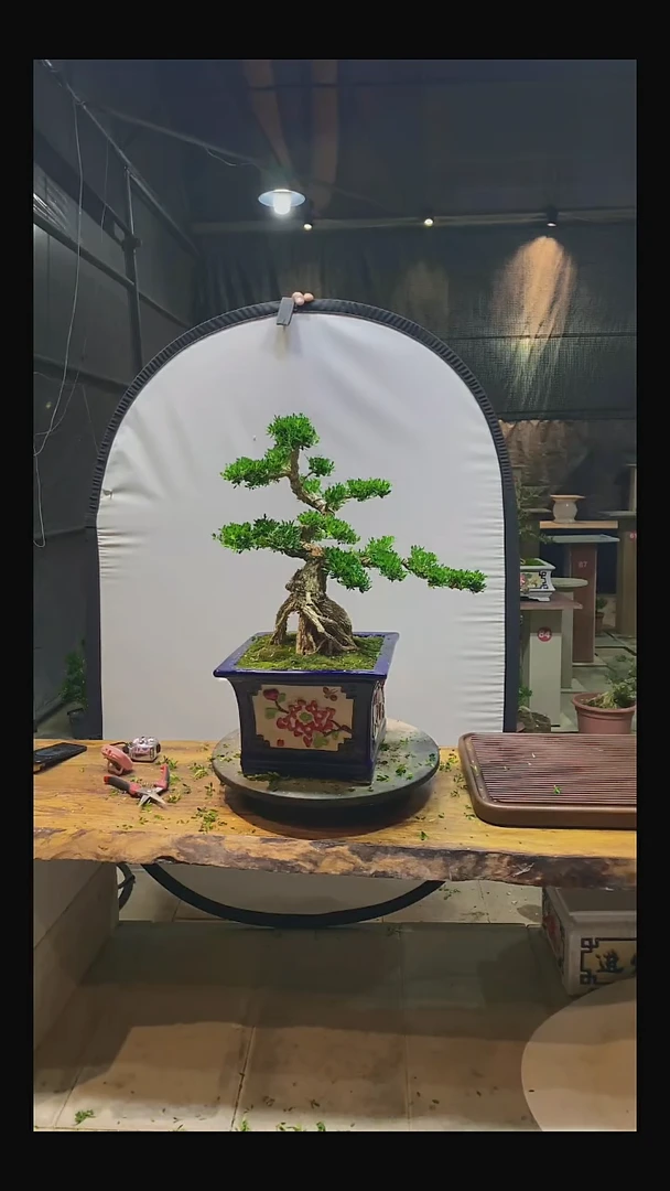 完全开放网*11111111