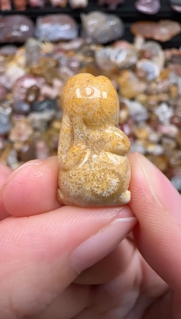 硅化珊瑚（珊瑚玉）未镶嵌颈饰735