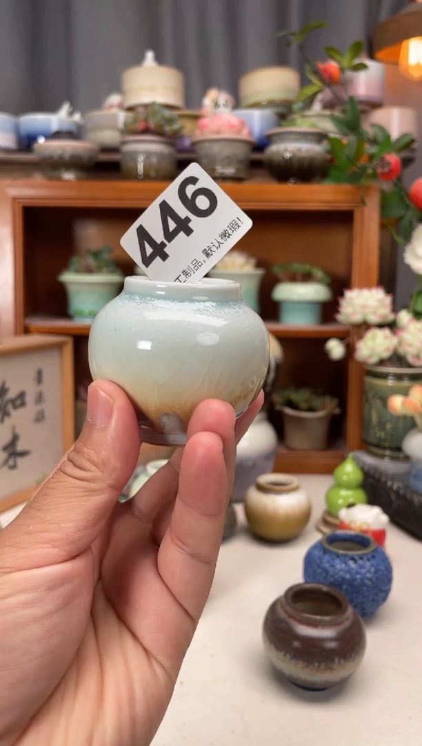 瓷片桃*?446知木小芳花盆编号