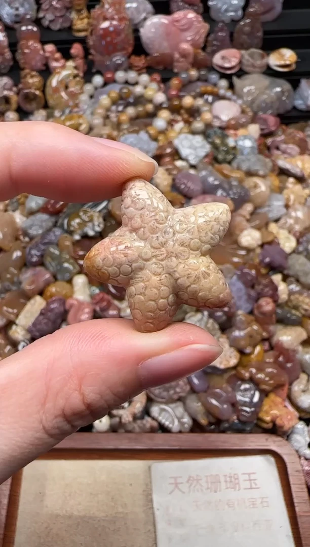颈饰未镶嵌硅化珊瑚（珊瑚玉）090