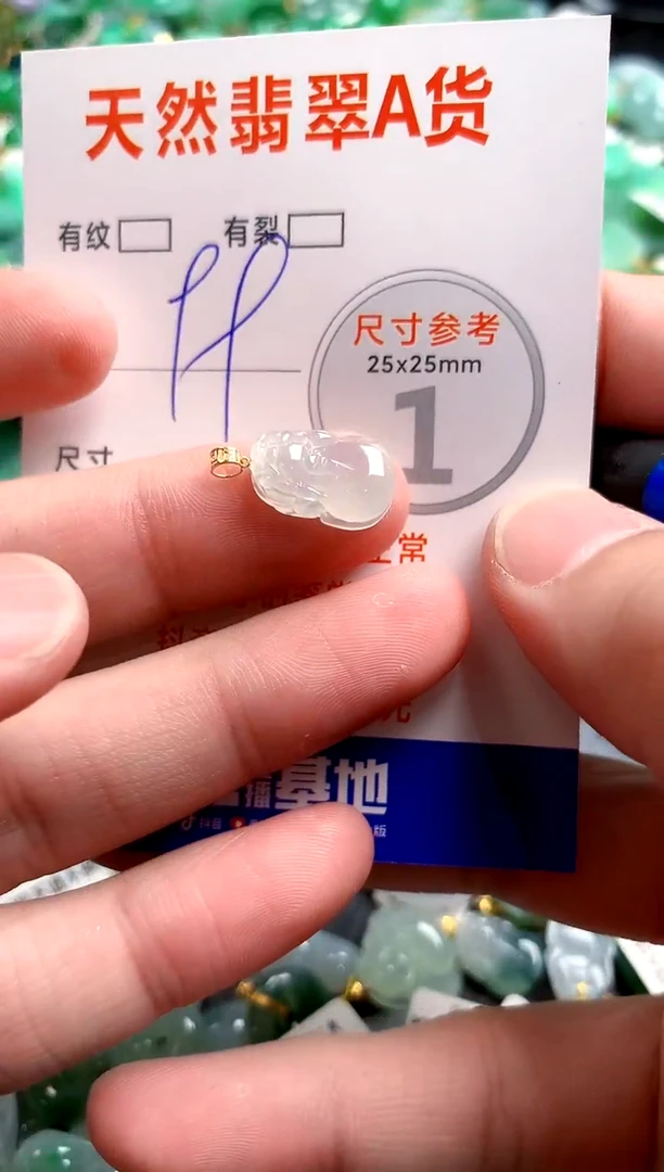 翡翠18K金镶嵌颈饰24002252