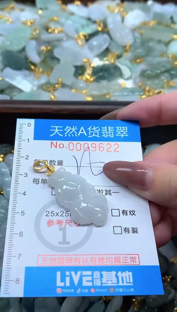 颈饰未镶嵌翡翠净货挂件-9622