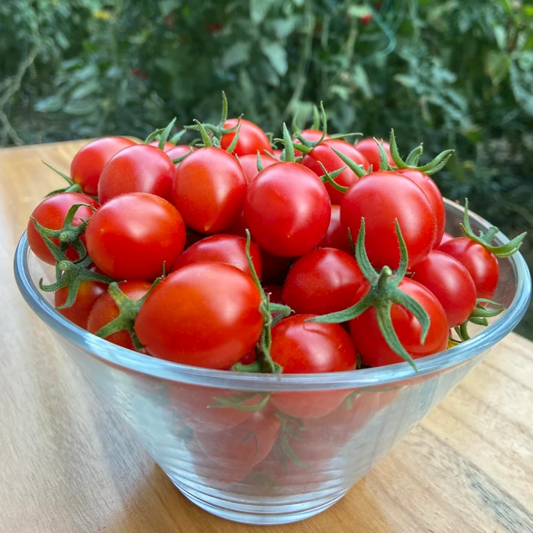 釜山88圣女果2.5斤装JDSF包邮