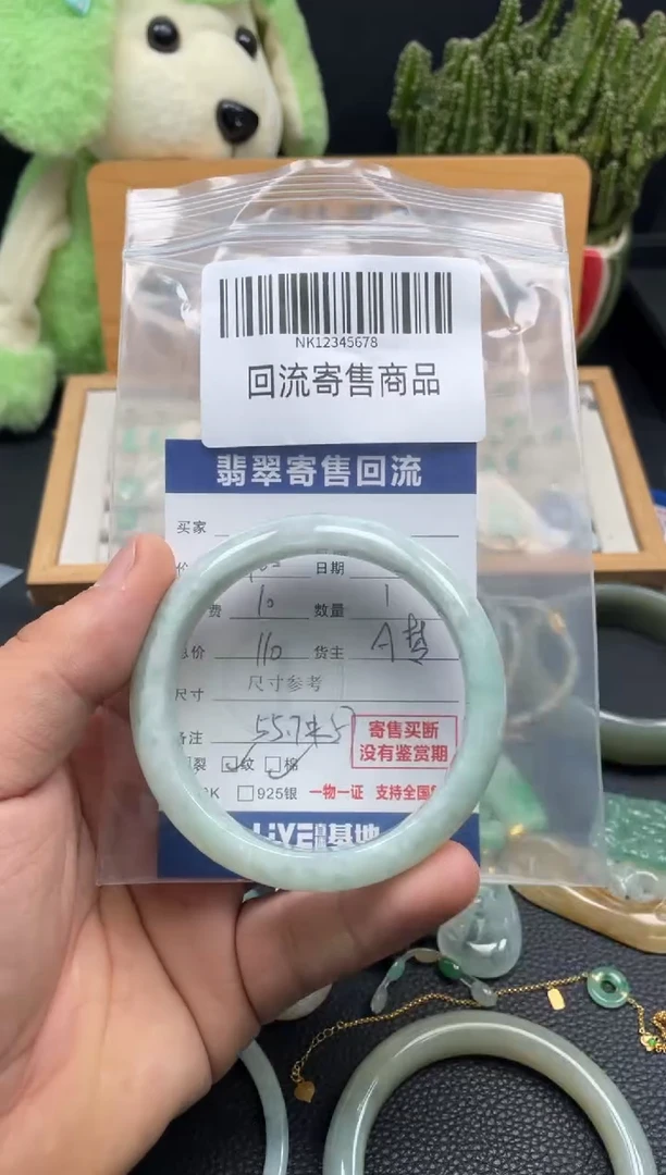 未镶嵌手镯翡翠10149237