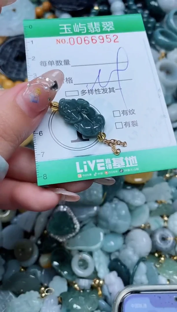 【闪购商品】翡翠颈饰未镶嵌闪购0066952