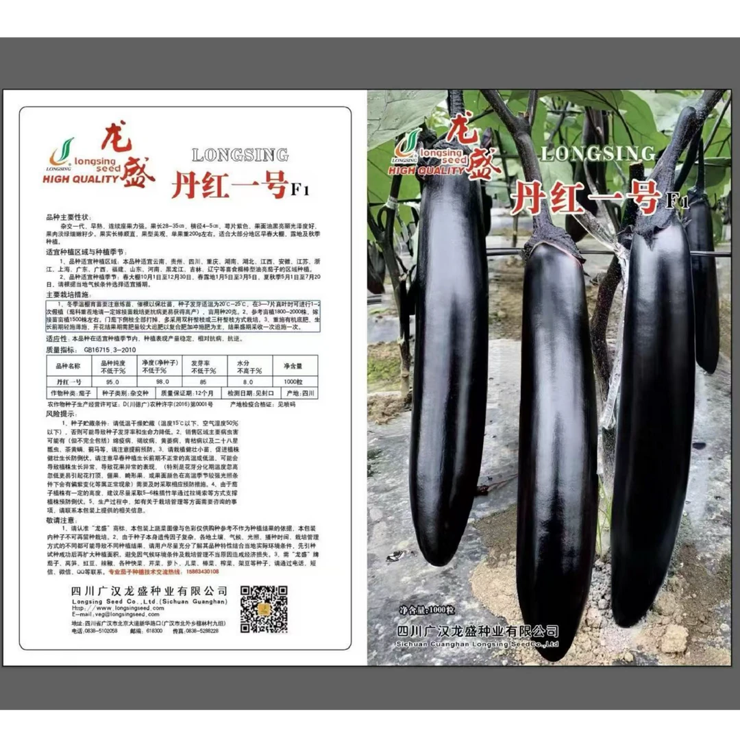 九林农业 龙盛丹红一号杂交早熟紫萼长茄