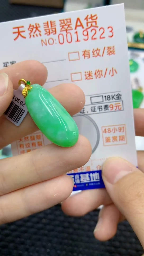 翡翠18K金镶嵌颈饰            8