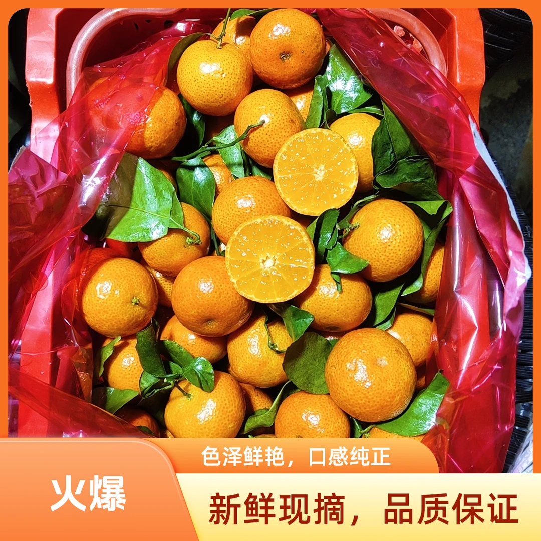 【顺丰次日达】沙糖桔小框装 | 广西沙糖桔