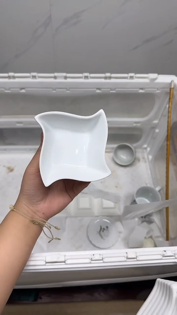 【闪购商品】352回流瓷器默认微瑕，18.8包邮