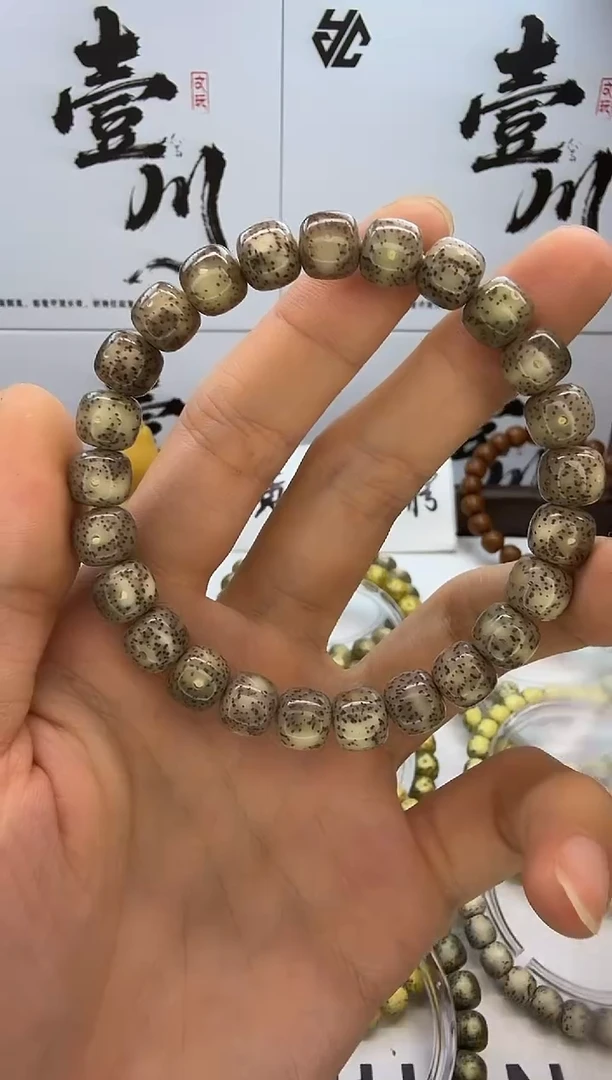 手串星月菩提9/8 冰糖玉化 星点 同枝果 75