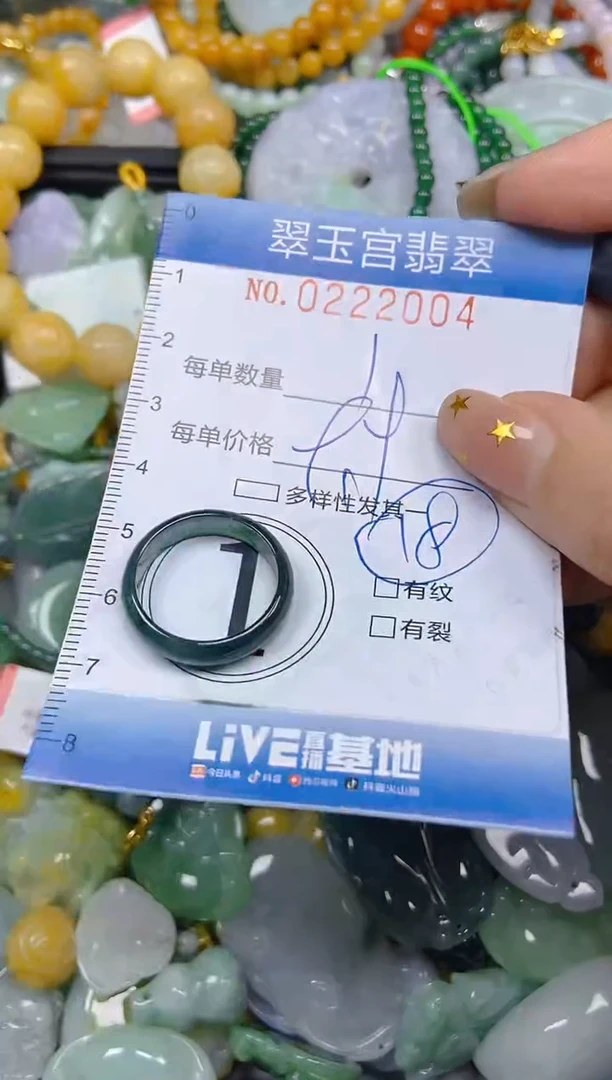 颈饰未镶嵌翡翠闪购C0221004