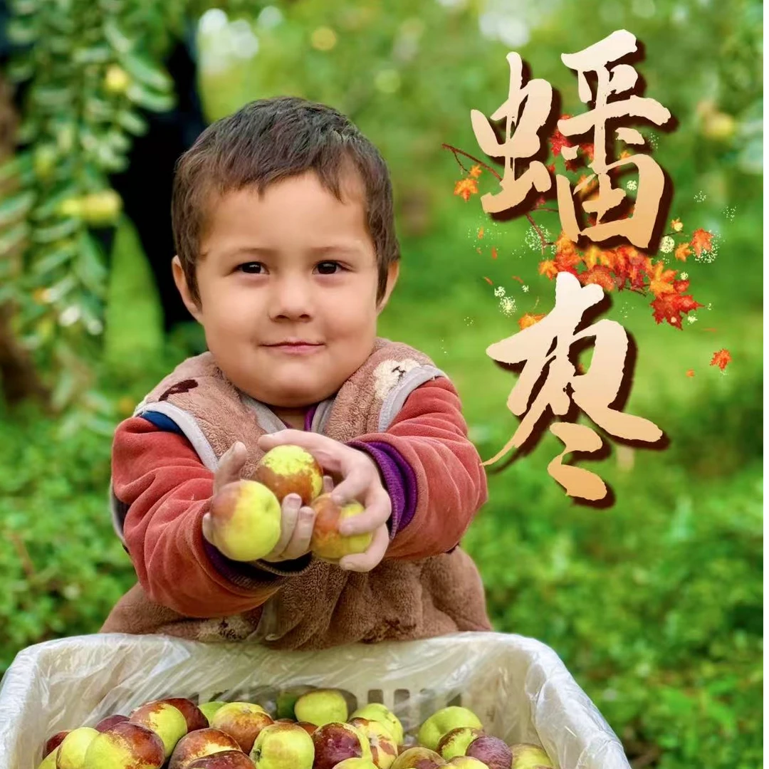 新疆且末蟠枣个大脆甜多汁枣园现摘当季新鲜水果