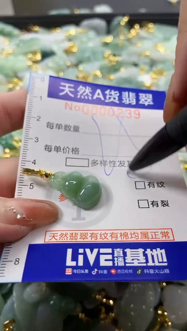 颈饰未镶嵌翡翠天然A货翡翠