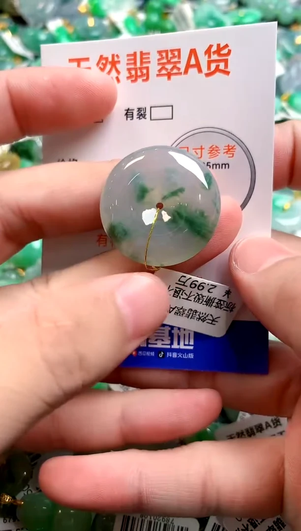 颈饰未镶嵌翡翠0449614031