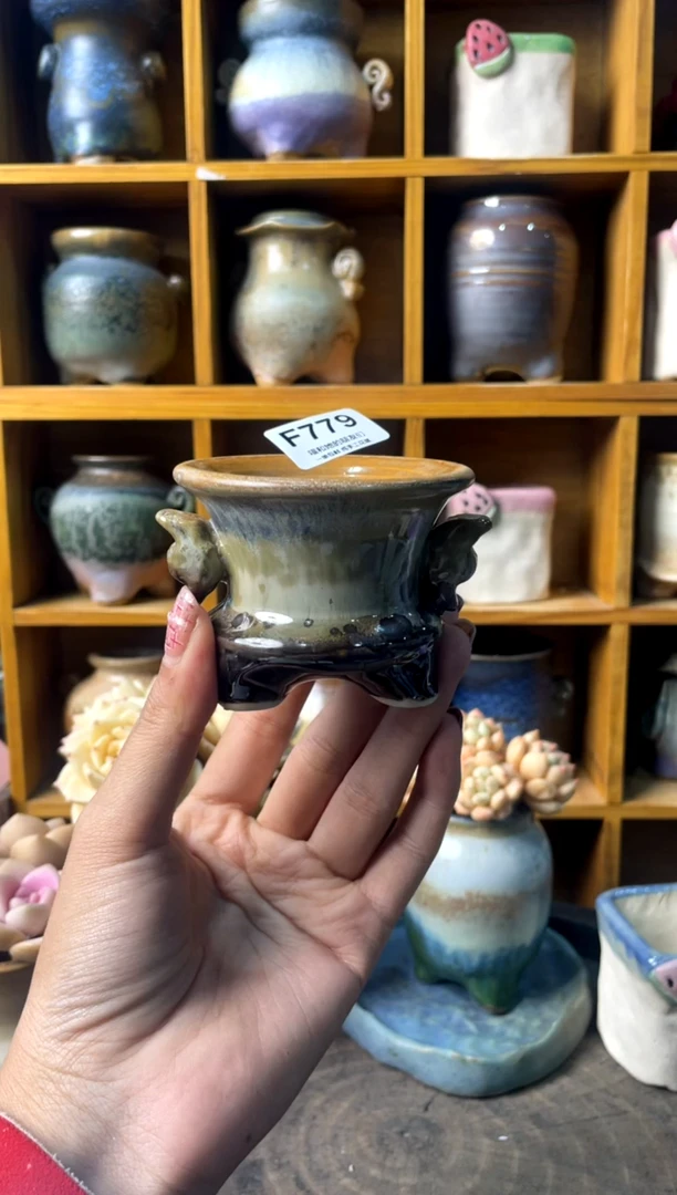 别****彩779【多肉花盆多肉盆】