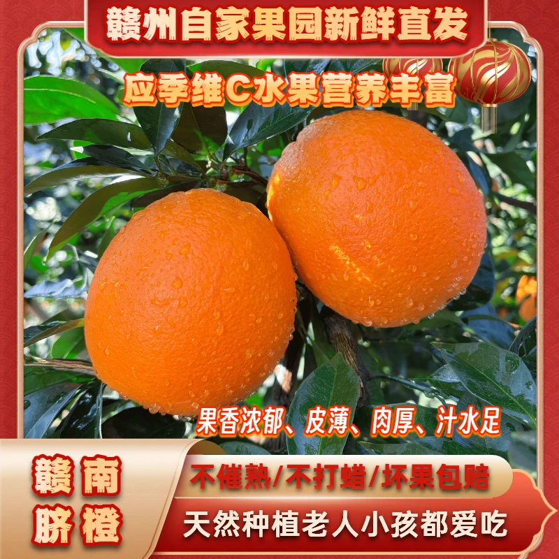 精品-江西赣南脐橙自家果园直发新鲜摘香甜脆嫩多汁-精品品质
