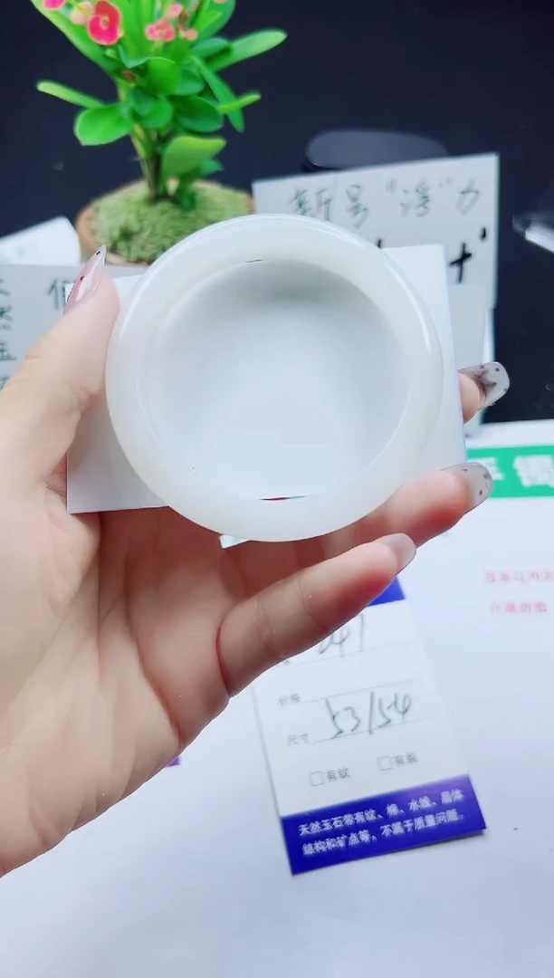 未镶嵌手镯石英质玉247-53/54