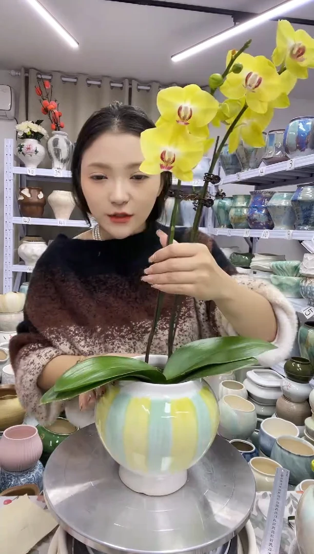 【11.6号】  直播链接 高：15   口：11