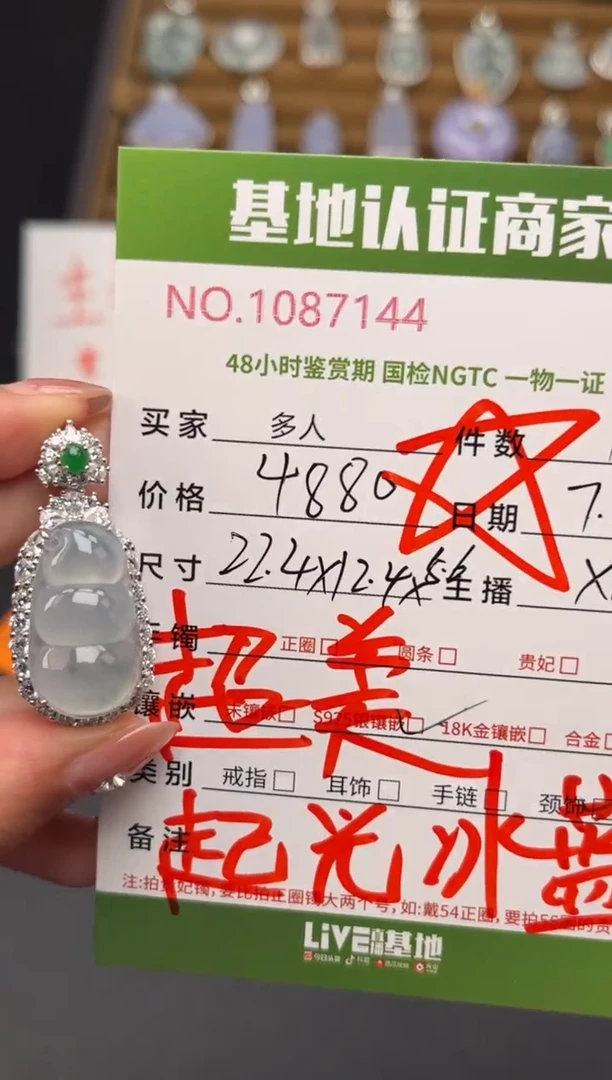 翡翠银S925镶嵌颈饰多人