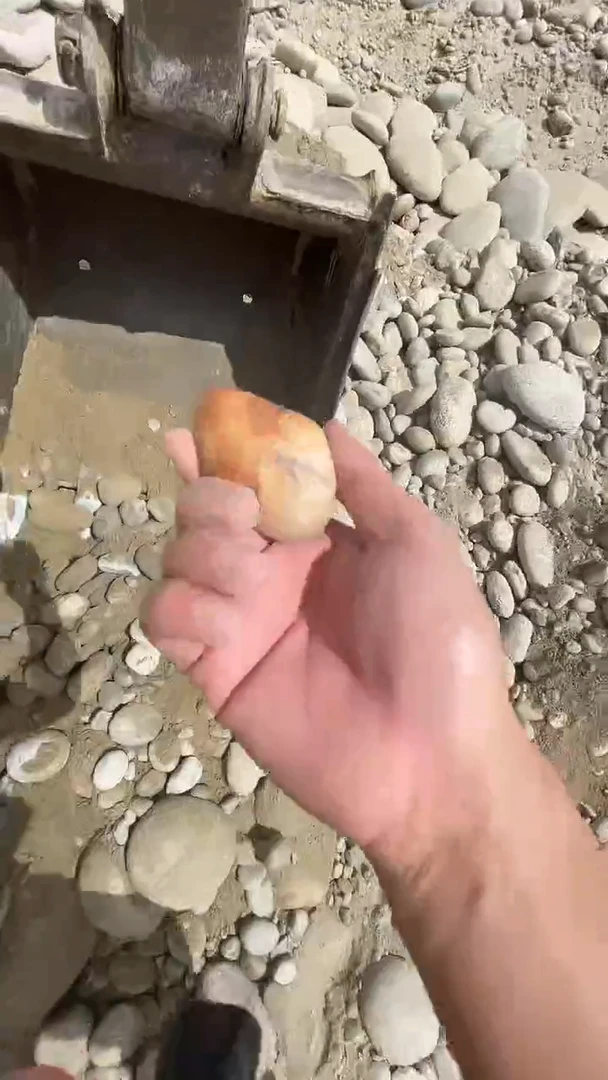 颈饰未镶嵌和田玉芷*7