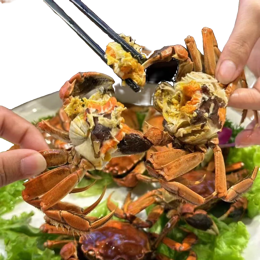 活蟹盘锦河蟹海鲜母蟹3斤装，单只1.2-1.5两，活蹦乱跳，死蟹按只赔付