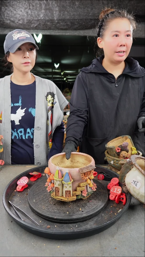 婉*3号         盆