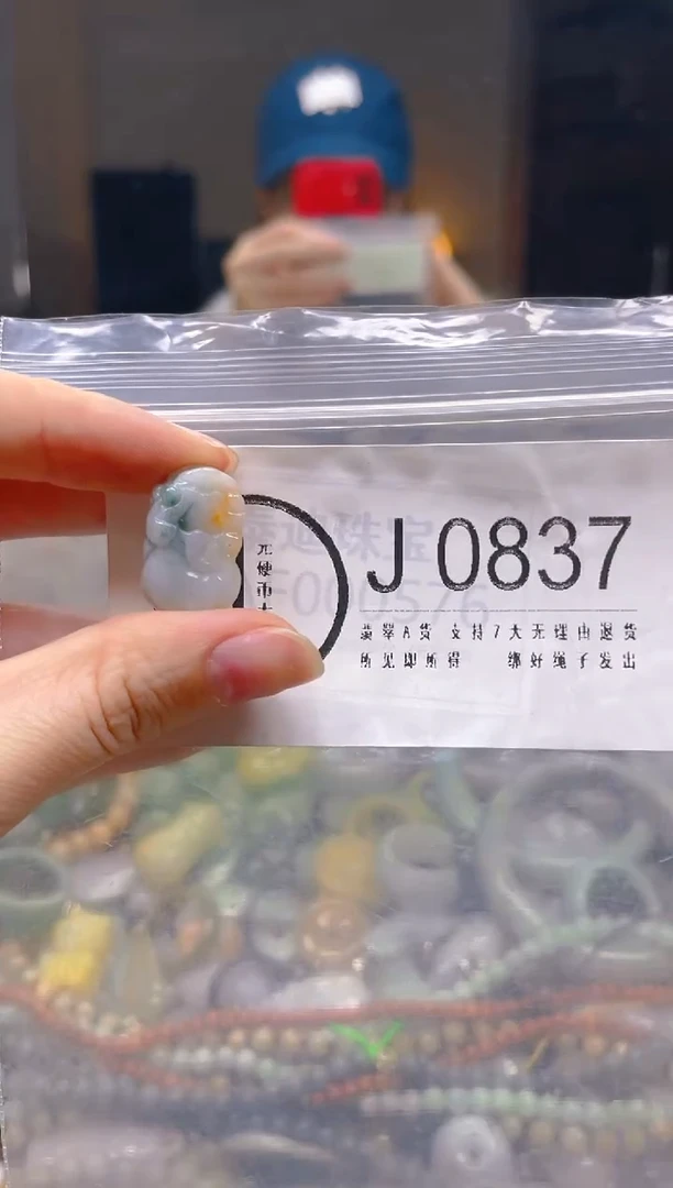 翡翠未镶嵌颈饰/J/翡翠A货一图一物