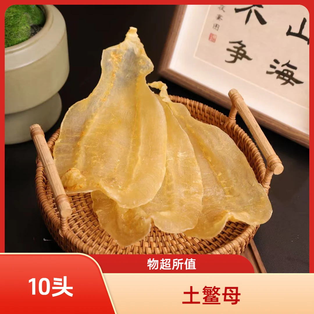 山海汇 广东 土鳘母 赤嘴鱼胶1-500g