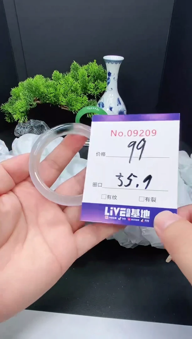 未镶嵌手镯翡翠9209