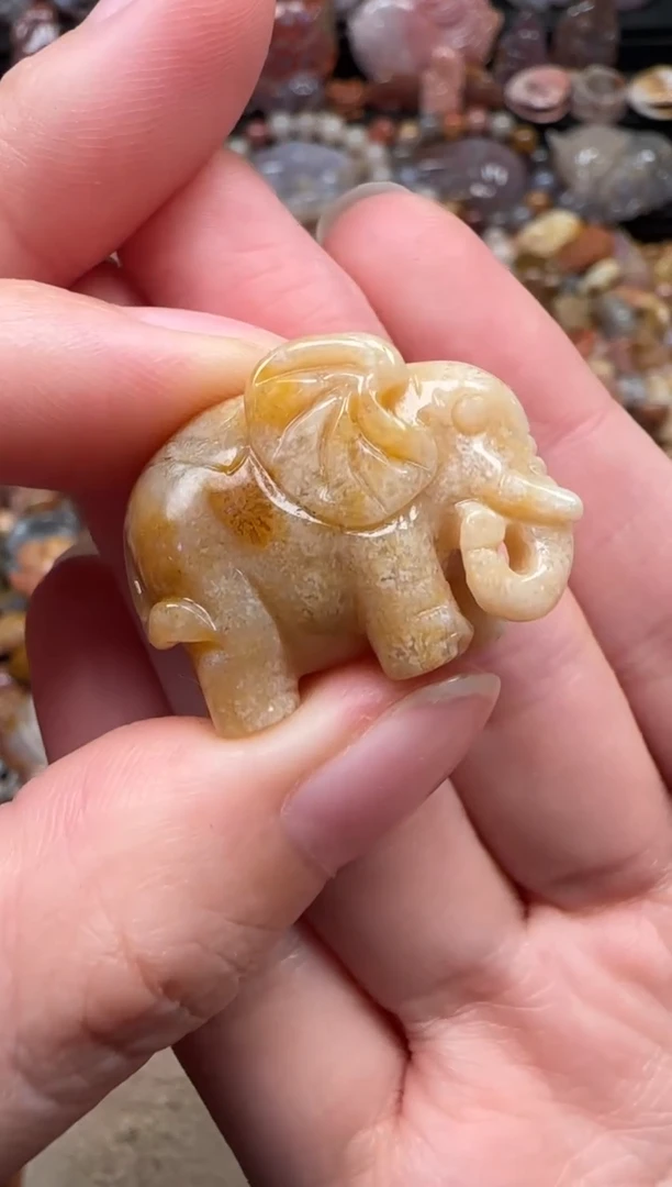 颈饰未镶嵌硅化珊瑚（珊瑚玉）720
