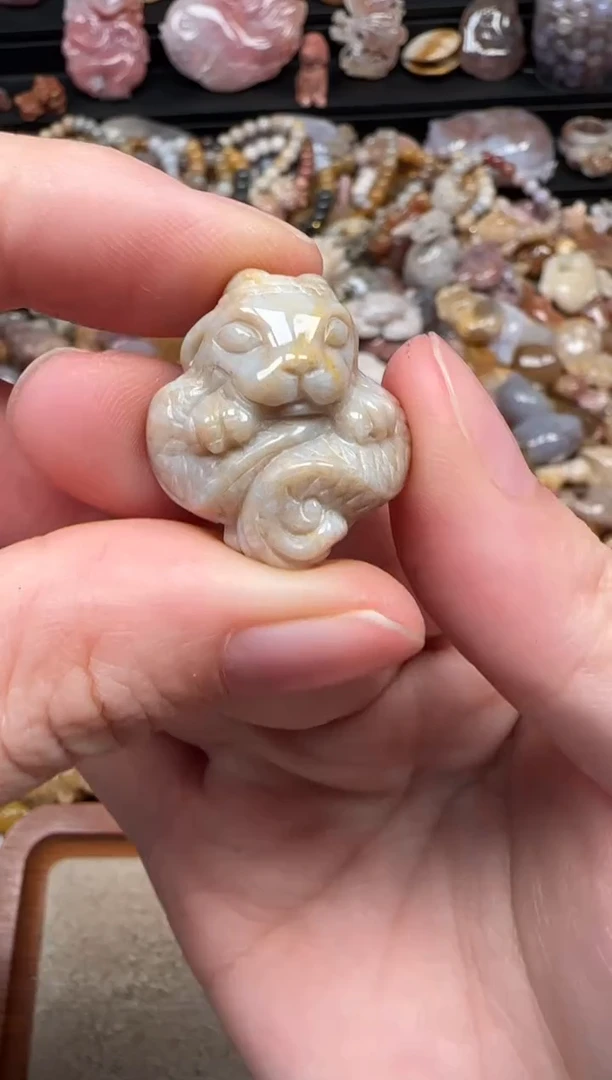 颈饰未镶嵌硅化珊瑚（珊瑚玉）536
