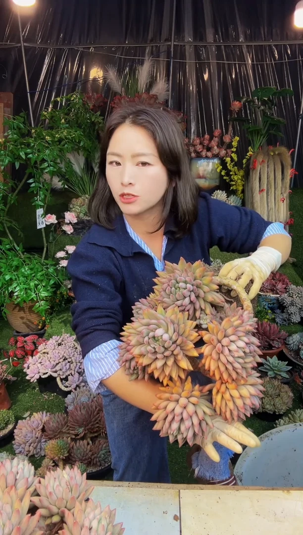 悬崖水晶球脱土包邮