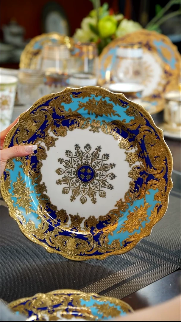 瓷片11英寸平盘1个