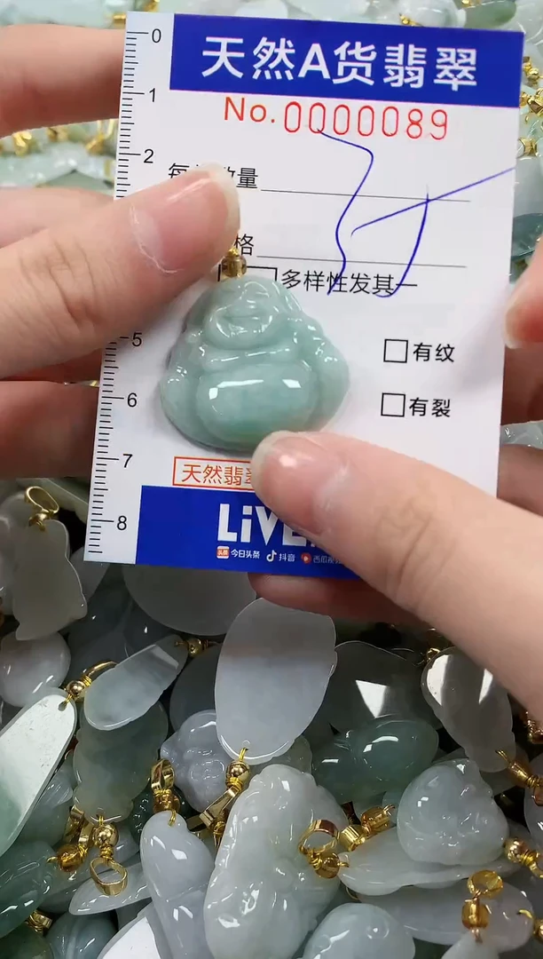 颈饰未镶嵌翡翠纯天然a货翡翠