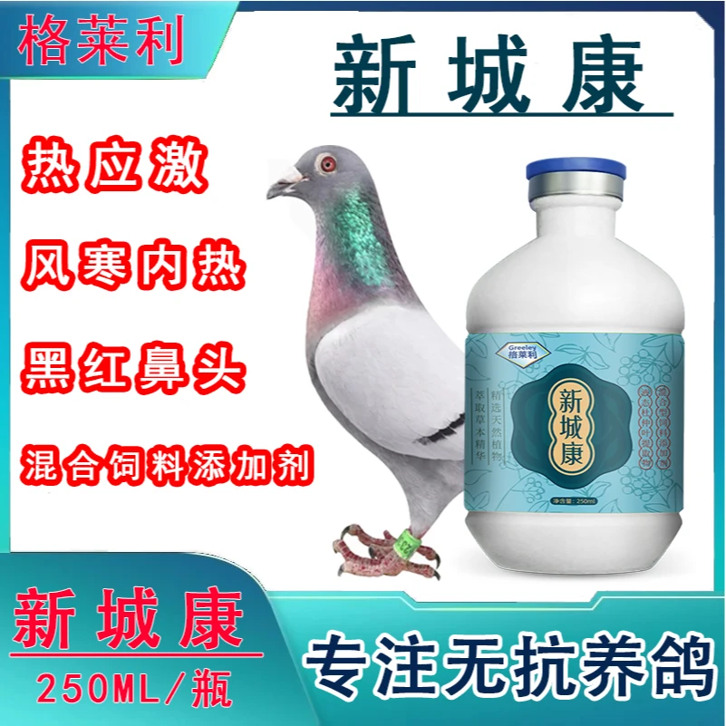 【格莱利】新城康赛鸽种鸽幼鸽鸟类营养液风寒内热热应激新城黑红鼻