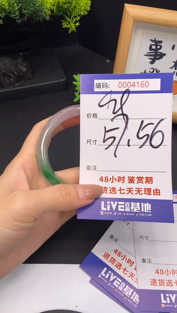 未镶嵌手镯翡翠0004160