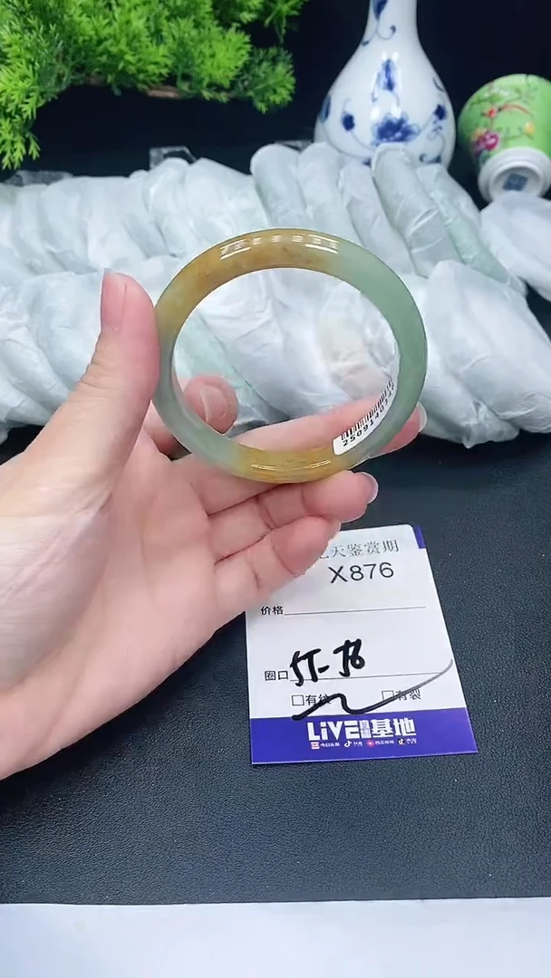 未镶嵌手镯翡翠876