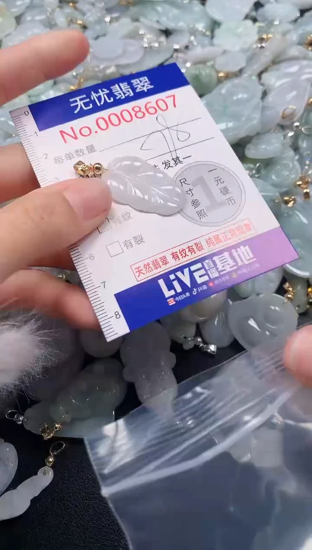 颈饰未镶嵌翡翠8607