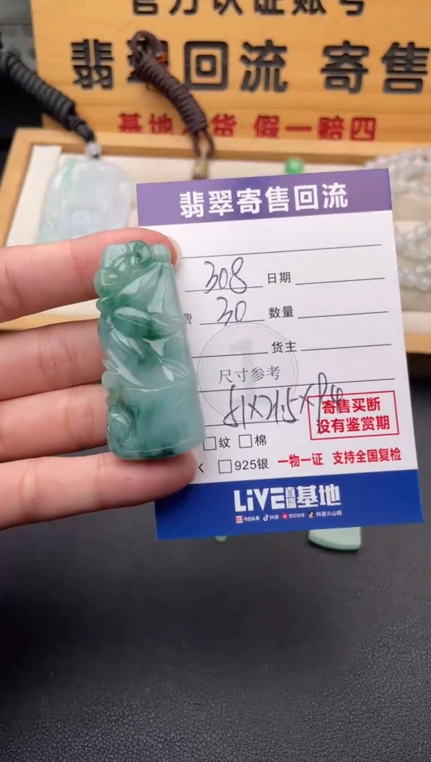 颈饰未镶嵌翡翠10147180