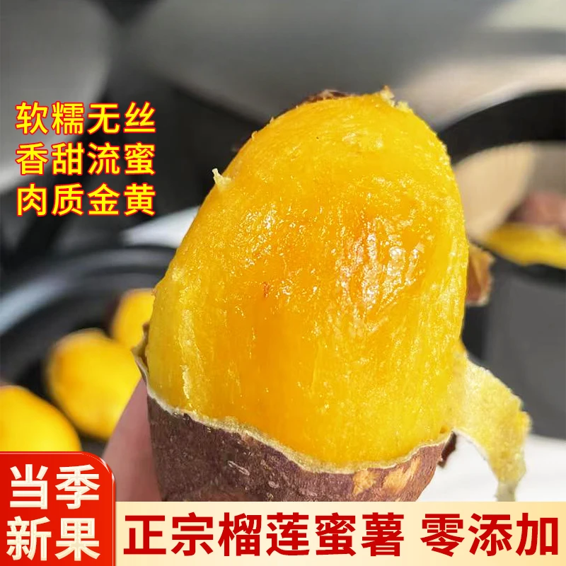 正宗云南榴莲蜜薯丝滑流蜜软糯香甜的红薯地瓜农家自种小香薯番薯