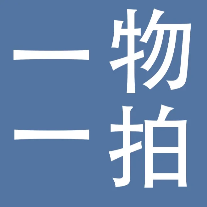 一物一拍盆栽地栽柿子树神州租车