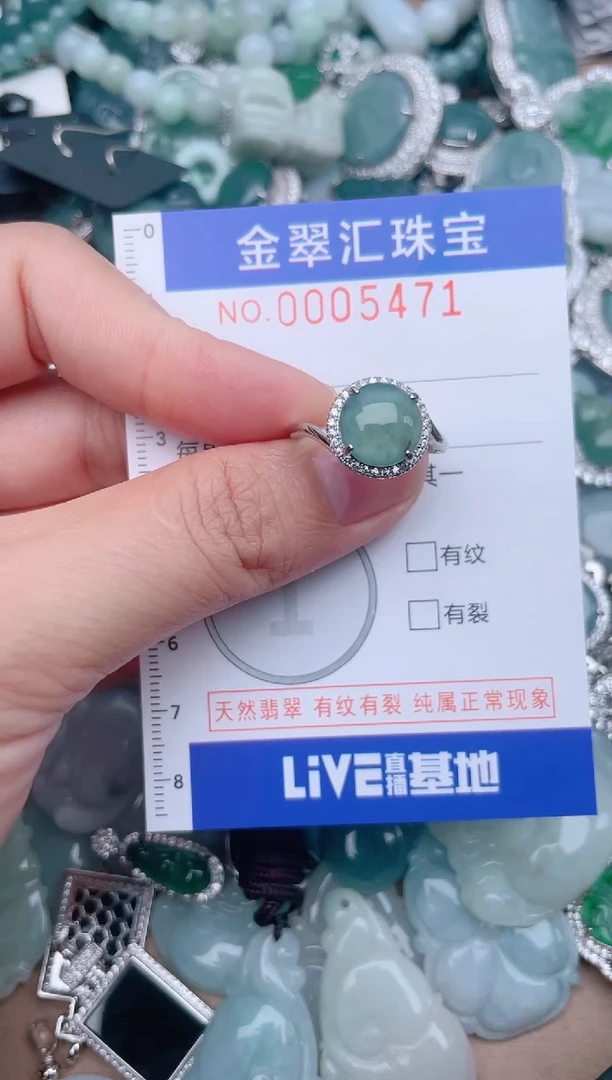翡翠未镶嵌颈饰5471.....1